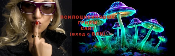 марки nbome Беломорск