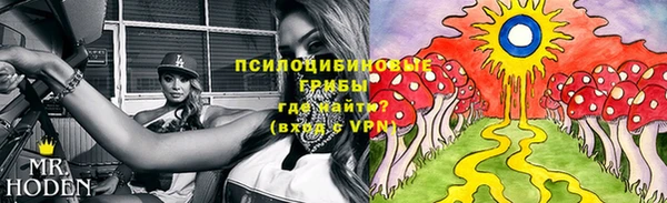 кокаин колумбия Белокуриха